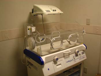 �s�D�O���E���ɕ���